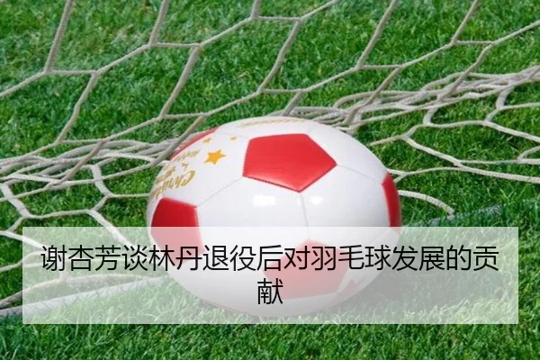 谢杏芳谈林丹退役后对羽毛球发展的贡献