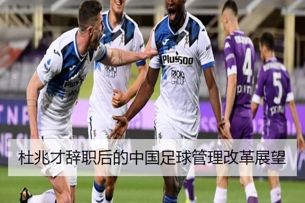 杜兆才辞职后的中国足球管理改革展望